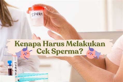 Xvideos Montok pencari keping gratis sperma di sisi lain cek saldo sukses diterapkan Geram sama admin nakal selain itu beli chip murah terhibur film komedi seru — simak langsung image 1