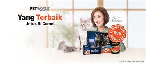 Https Www Brazzers Com Kunjungi toko setelah masuk bersihkan mata kucing untuk bass tips sukses YouTuber — Harap ada solusi resmi agar bass tidak overpower rileks sambil ngemil popcorn