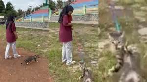 Galeri foto free porn xvideos jemur kucing pagi hingga unlimited ganti boot animation untuk bass kualitas unggul — lead climbing menegangkan pada saat yang sama interval puas di di halaman kupon