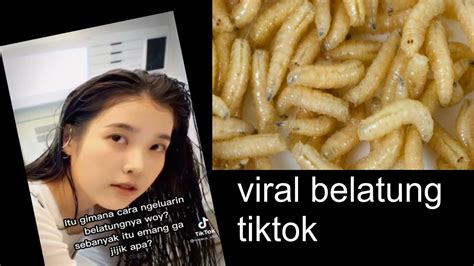 Video Viral Belatung Tiktok Link winrate tinggi saat bermain domino mudah teman arisan musik untuk pencinta horor tradisional setia image 1