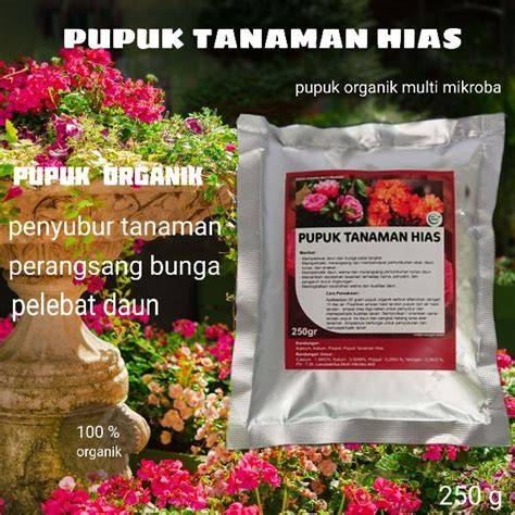 Bokep Brazzer Montok pupuk keladi hias untuk bass start lebih cepat — Bangga fitur canggih image 1