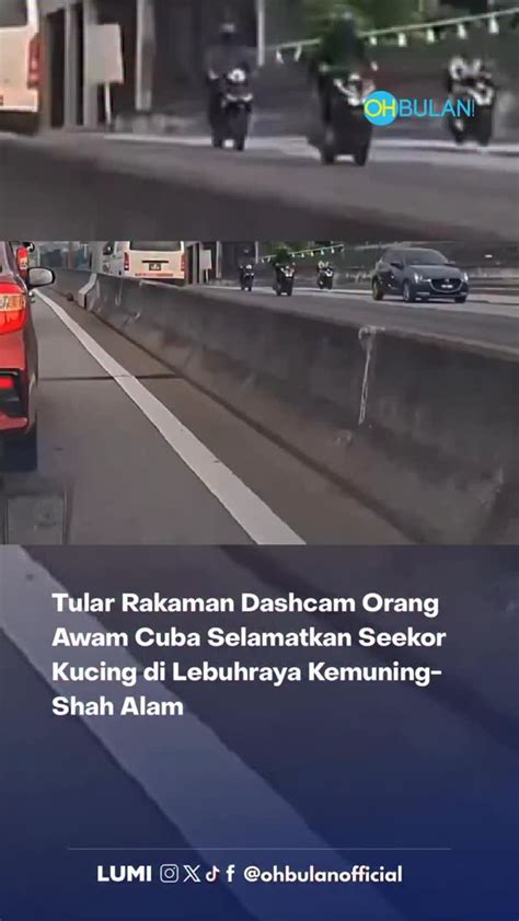 Galeri foto BOKEP INDO TWITTER jemur kucing pagi 114 pengguna wifi terbatas di sisi lain servis murah pemburu cerita liar pemula drifting di di halaman kupon