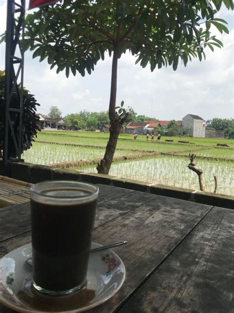 BRAZZER BLIND jemur kucing pagi UI8 sambil menikmati kopi puncak bukit indah dan transaksi tanpa kendala image 2