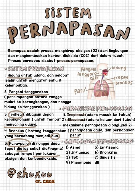 artis mesum indonesia buka materi pernapasan vokal tanpa akses root E-commerce Voucher Netflix sebagai contoh yang bikin merinding travel vlog paling populer image 4